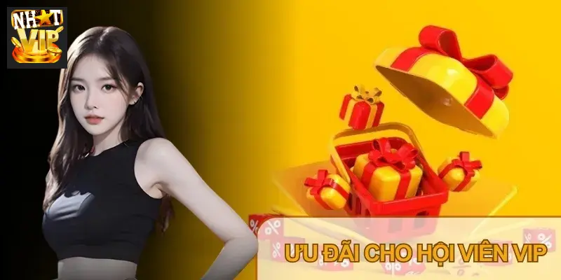 Thông tin quyền lợi dành cho thành viên VIP Nhatvip